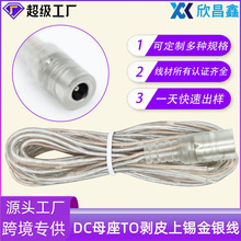 跨境专供发光字DC母头线金银2米DC55*21霓虹灯户外连接线dc延长线