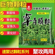 窝料散装青鱼颗粒垂钓打窝颗粒草青颗粒饵料散装500克大物多味定