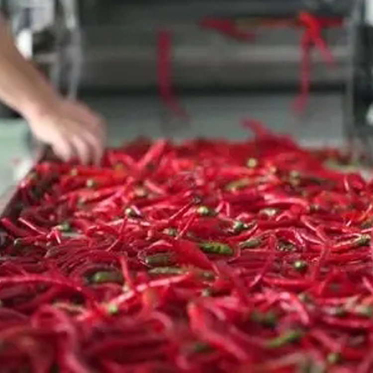 ��������ȫ�Զ�����������������ˮ�� ��������ɻ� �մ�������