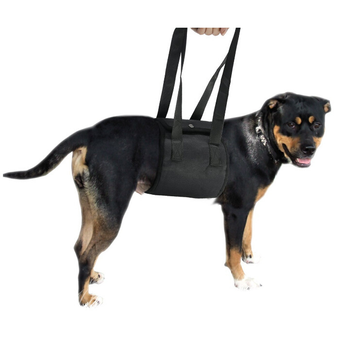 Senior Dog Support Harness For Rehabilitation And Mobility Aid_voghion.com