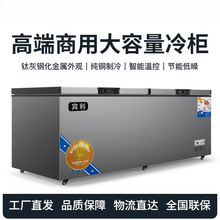卧式铜管系列商用冷藏冷冻大容量超市展示柜单温智能速冻冰柜