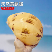 12-22cm ��Ȼ����  �S�h�� �ҾӔ[������