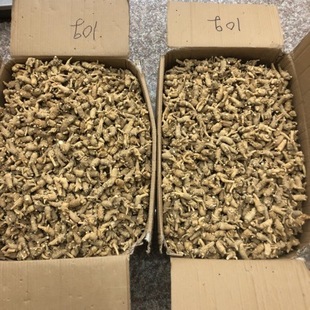 ɽ�|�ĵ�����10�����^���셢��֧ԭ��һ��