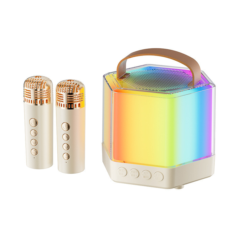 K12K30 Bluetooth カラオケ オーディオ オールインワン マイク マイク ライト付き アウトドア 子供 家族 KTV スピーカー セット|undefined