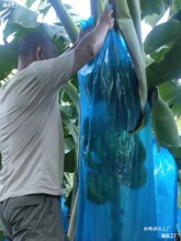 �����޷۽��㽶���o���x���r���꺮�B�w�Ӻ���wһ�wˮ���״�