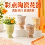陶瓷桌面多肉家用花盆
