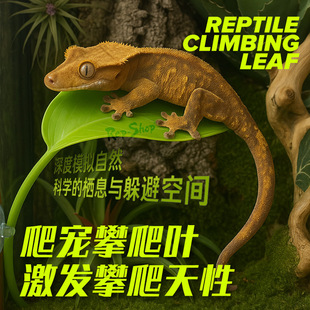 �޽������~�䗫�����Ҹ��CR���،m���ָ׷����쾰�Ѡ����ܶ��