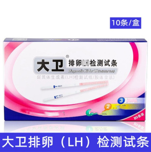 ���l����ԇ��������ԇ��10�l���b�z�y������ԇ�l���Мy����ԇ��