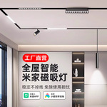 华雄智能磁吸轨道灯嵌入式泛光灯智能氛围射灯工厂直营已接入米家