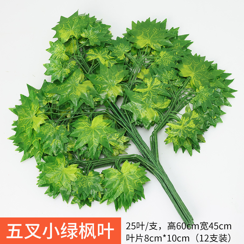 Five fork small green maple leaves