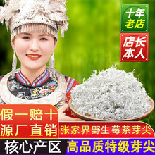 湘西湖南张家界龙须莓茶野生霉茶土特产野生嫩芽芽尖莓茶正宗藤茶