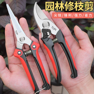 Fruit Tree Pruning Scissors Stainless Steel Household Gardening Scissors Pruning Scissors Branch Scissors Floral Scissors