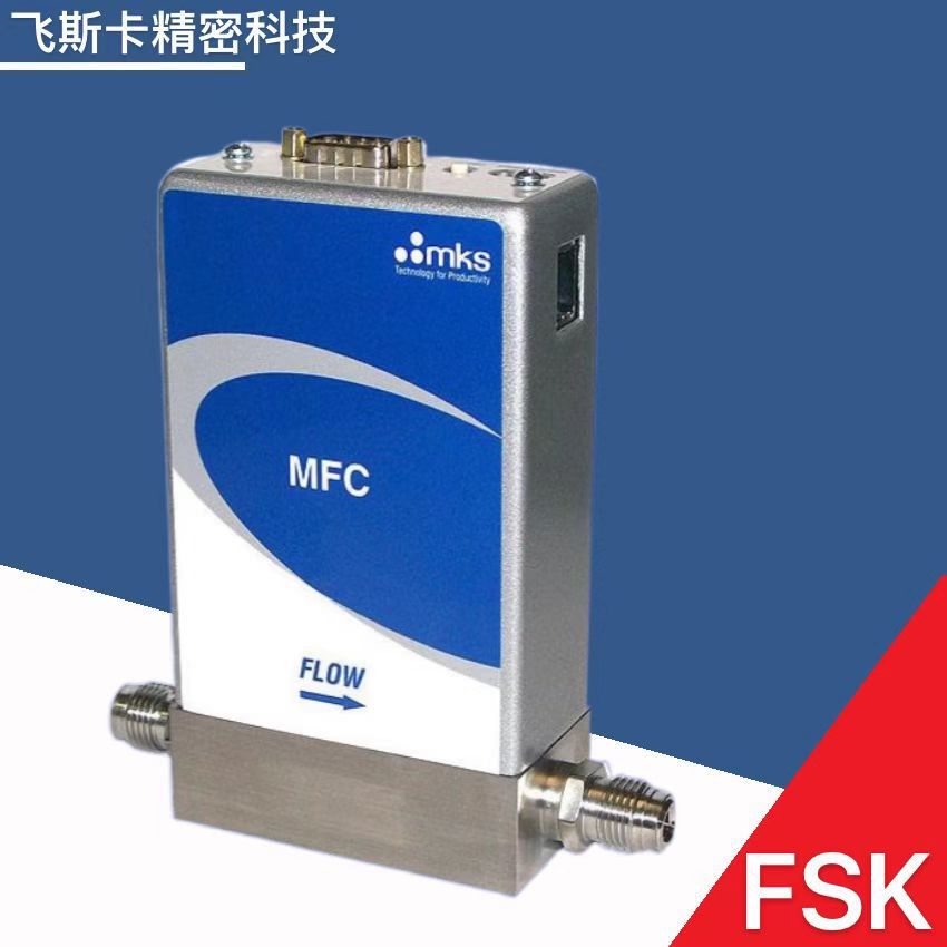 MKS流量计 GE50A015503S5V020
