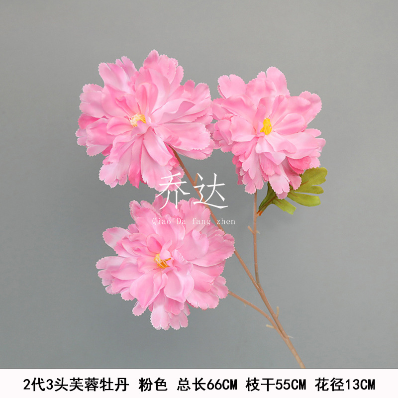 2nd Generation Hibiscus Peony