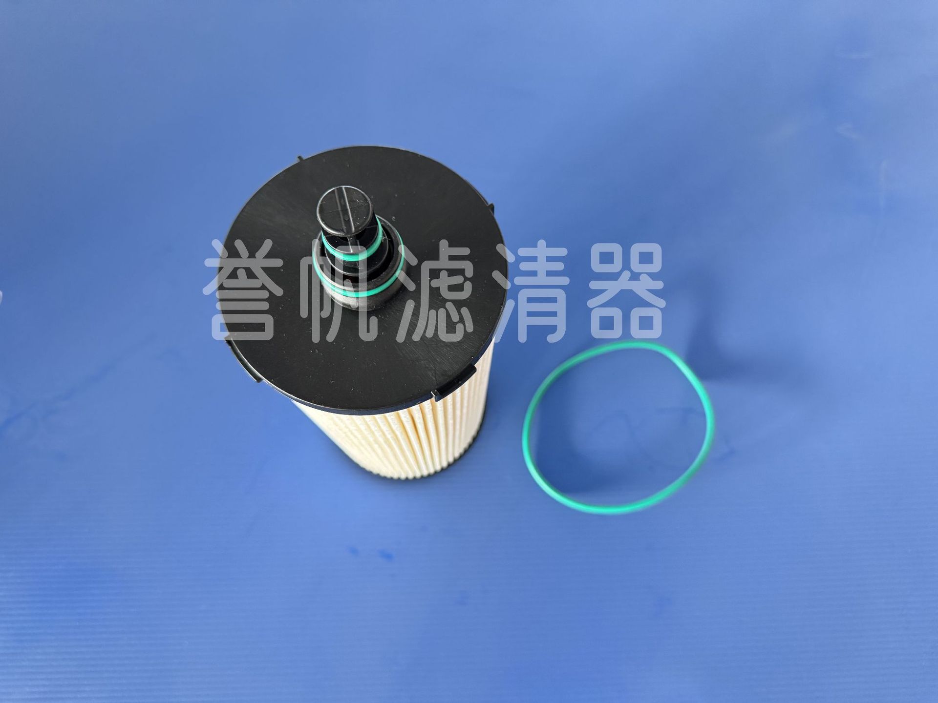 Supply 24137737 24008818 23759508      Diesel Fuel Filter Filter