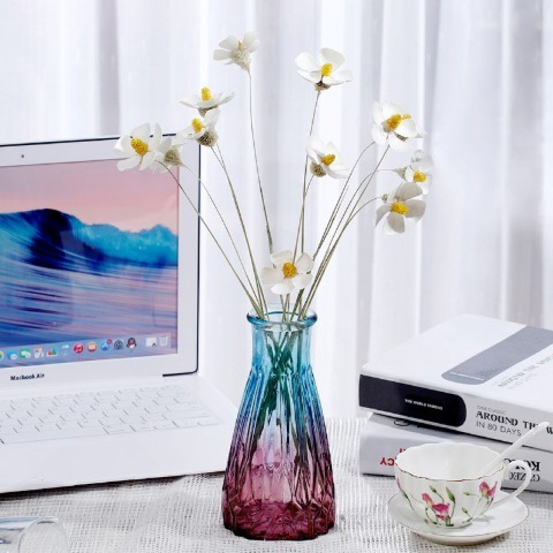 흰 해바라기 - 꽃병 없음