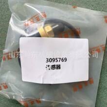 �ھ�C 312D2 �����_�P 3095769