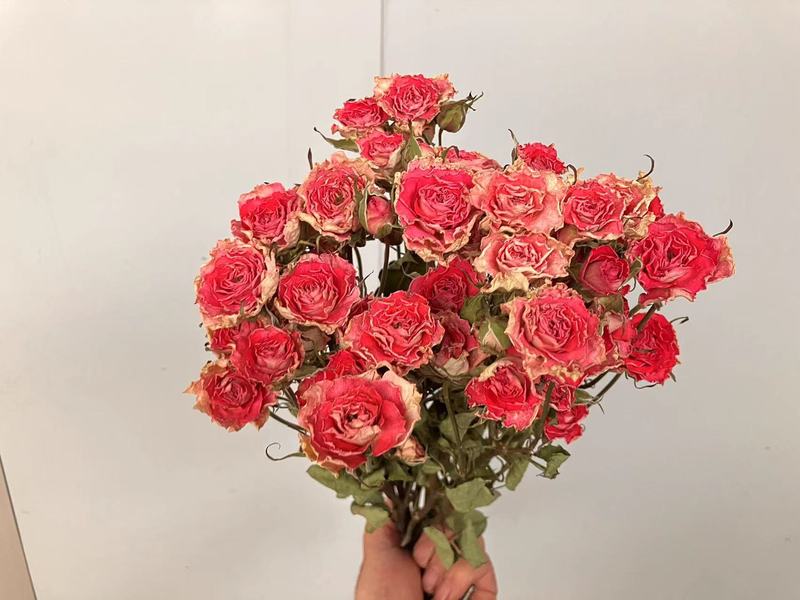 多頭バラ泡薔薇乾花薔薇花束雲南乾花滴糊花フォトフレーム花材補助材飾り|undefined