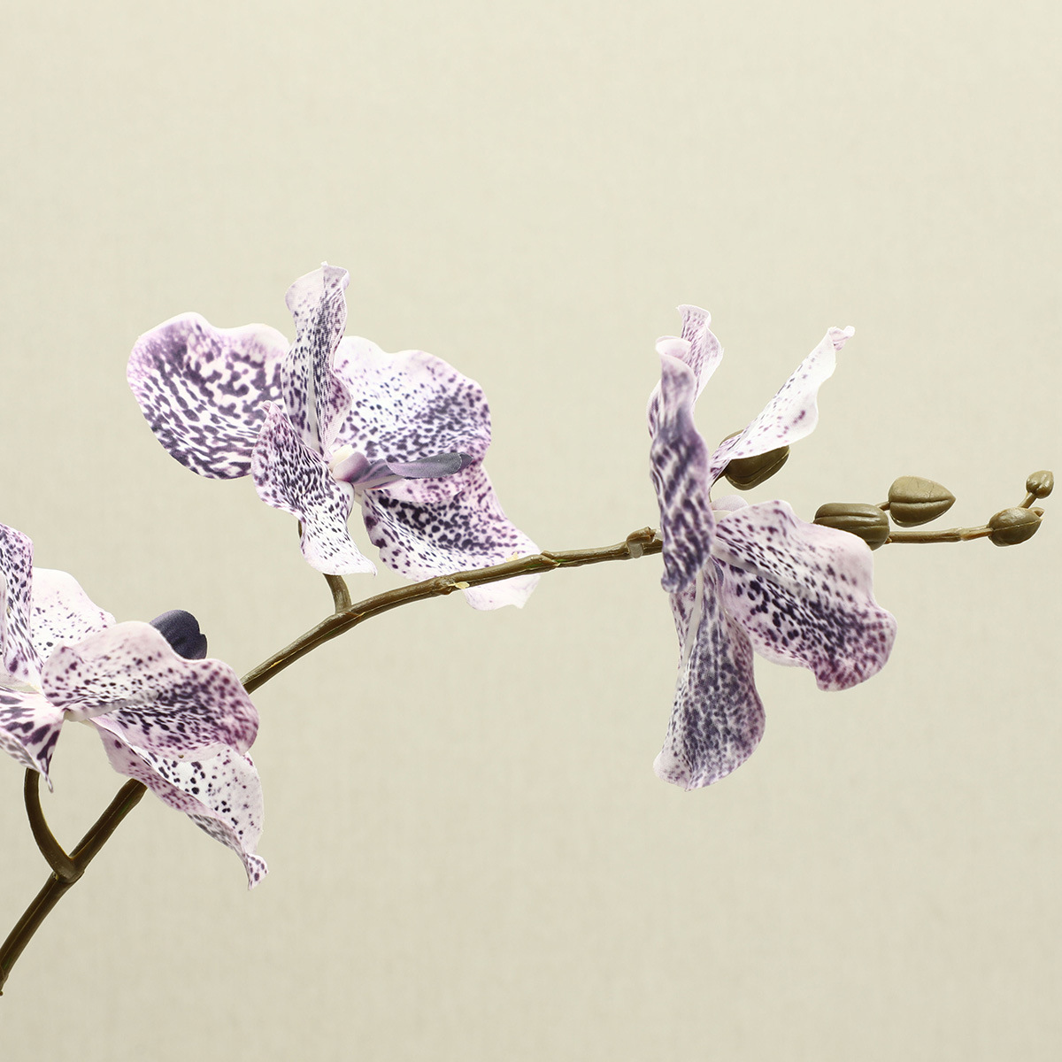 밝은 보라색