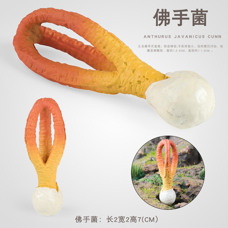 Cross-Border Realistic Fungus Plant Model, Citrus Aurantium, Children's Cognitive Desktop Ornament, Photography Prop, Toy Figurine
