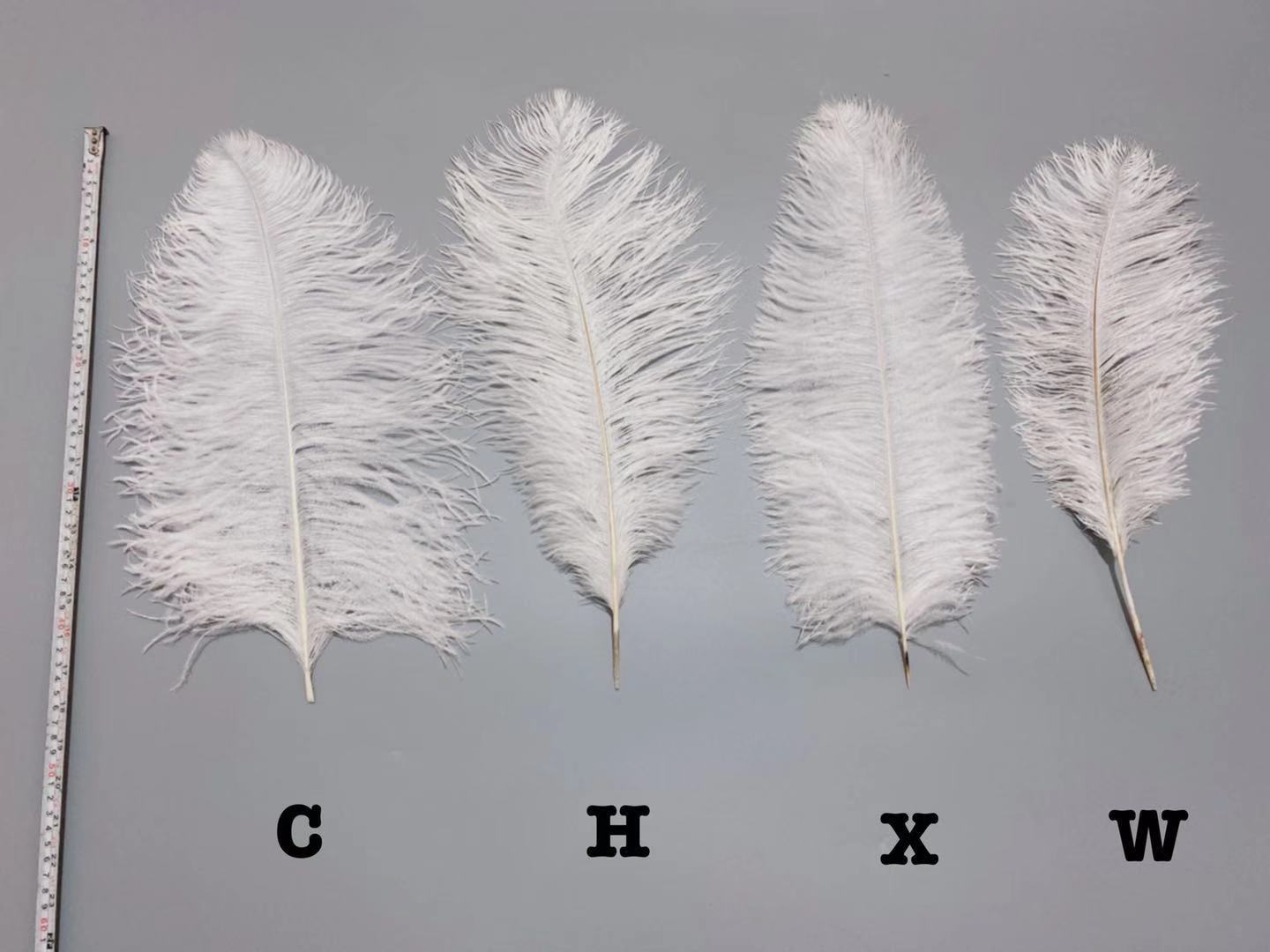 3d838f4260bd9883132bbb9c7f80ad