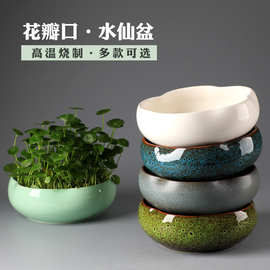 水培花盆一叶莲铜钱草金钱水仙创意绿萝无孔陶瓷大号碗莲睡莲批发