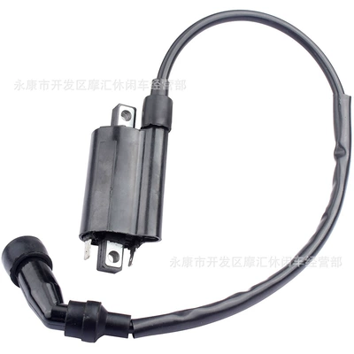 Power supply, ignition system accessories Raptor 700 700R