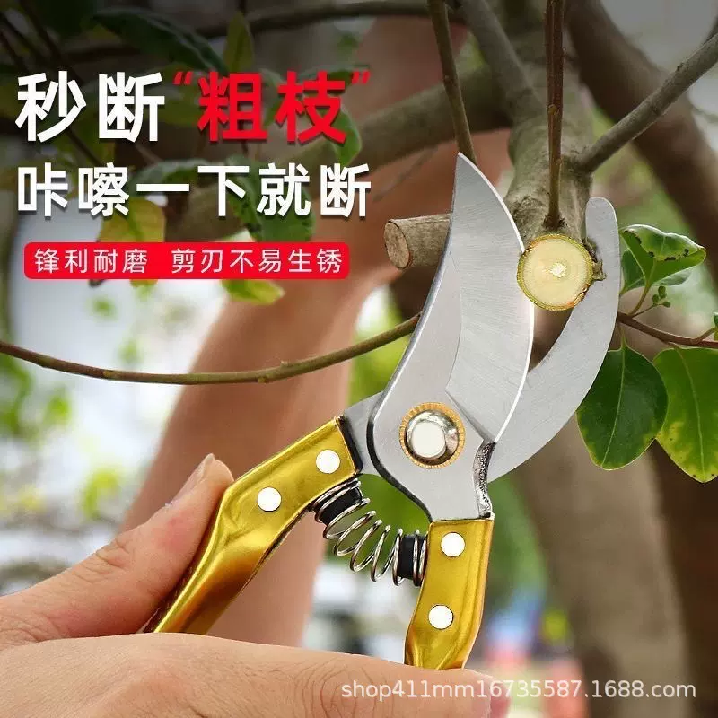 厂家货源SK5修枝剪省力粗枝剪8寸园林花艺剪刀高树枝修剪工具批发