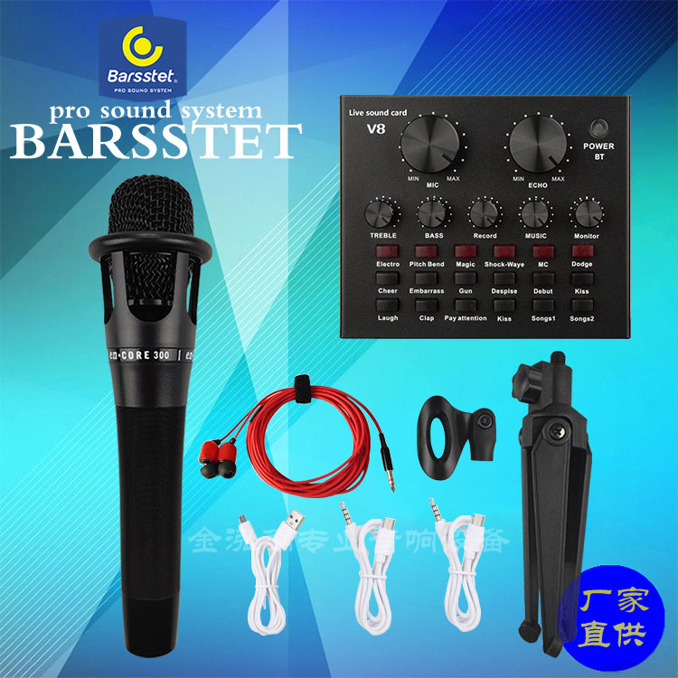 제조업체 도매 E300 콘덴서 마이크 핸드헬드 마이크 휴대폰 라이브 방송 컴퓨터 앵커 사운드 카드 세트