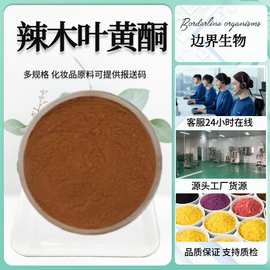 辣木叶黄酮10%  多种规格  辣木叶提取物  印度辣木叶萃取 可寄样