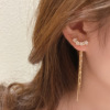 Demi-season advanced long earrings, 2022 collection, light luxury style, high-quality style, city style
