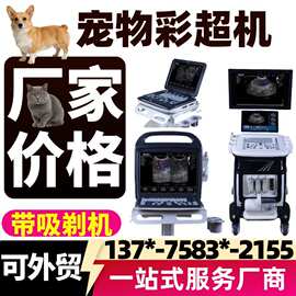 彩超检查仪 厂家直销兽用B超机  异宠兔子龙猫及小动物检查