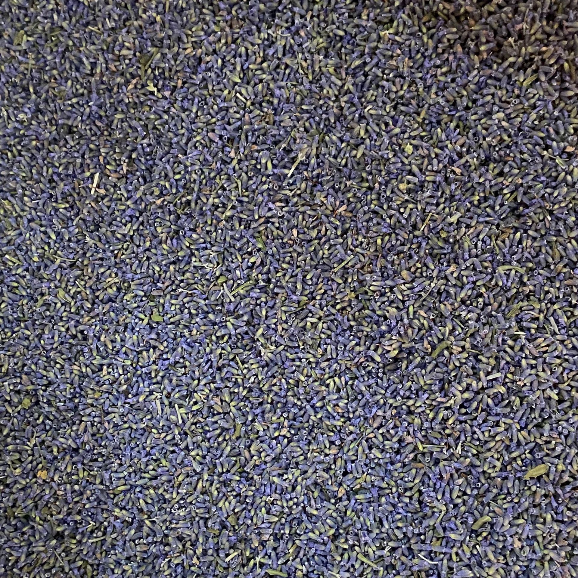 Dried Lavender Buds Xun Yi Cao 1 lb Natural Aromatic Herb for Sachets Pillows and Herbal Blends specifications