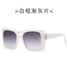 Fashionable brand sunglasses, trend glasses solar-powered, city style, European style, wholesale