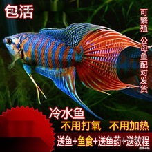 �Ї����~���~Ұ���ղ��ͺ���ˮ�~��ˮ�~�������ⲻ�ӟ��^�p��̫��