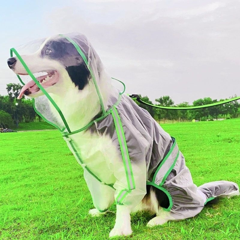 90e15b4b-427b-46ca-b67f-e0b735c44ac4.jpe