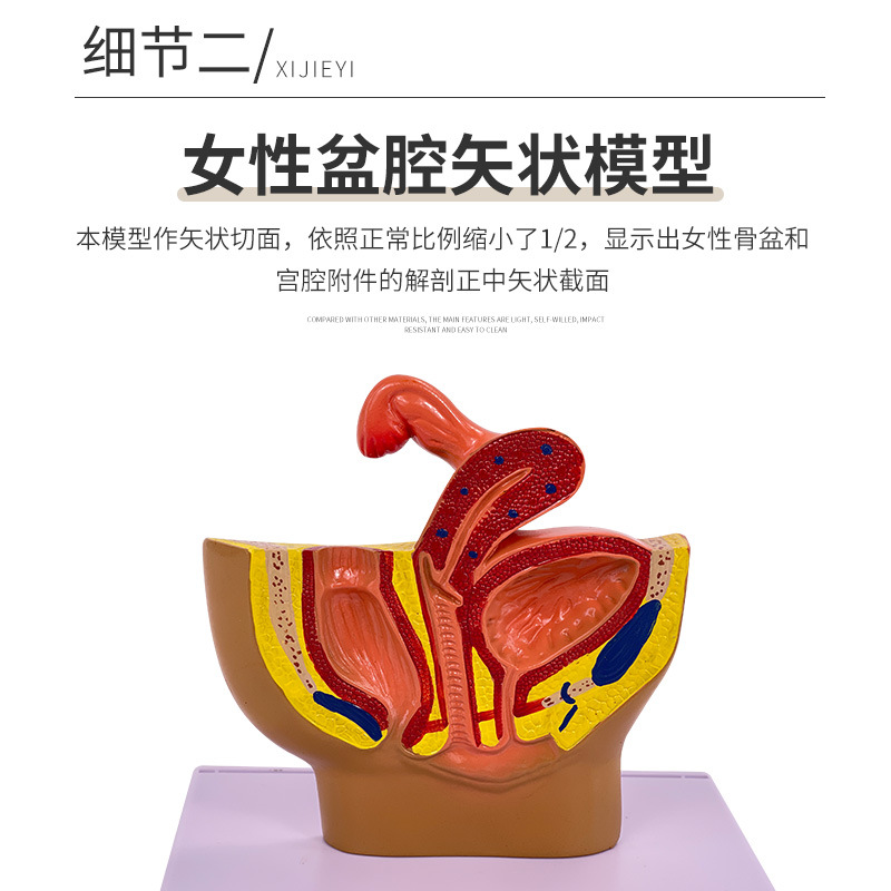 ����������ǻʸ״����ģ��������ֳ����ϵͳС��������ǻ������ʾ