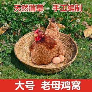 �Ӵ�̖��ĸ�u�µ��C���C�����C�������ӸC�i�J���u�C؈�C���S�S��
