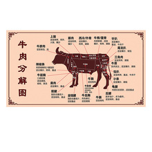 批发牛肉分解分割部位图介绍墙贴壁画贴图贴画复古美食海报广