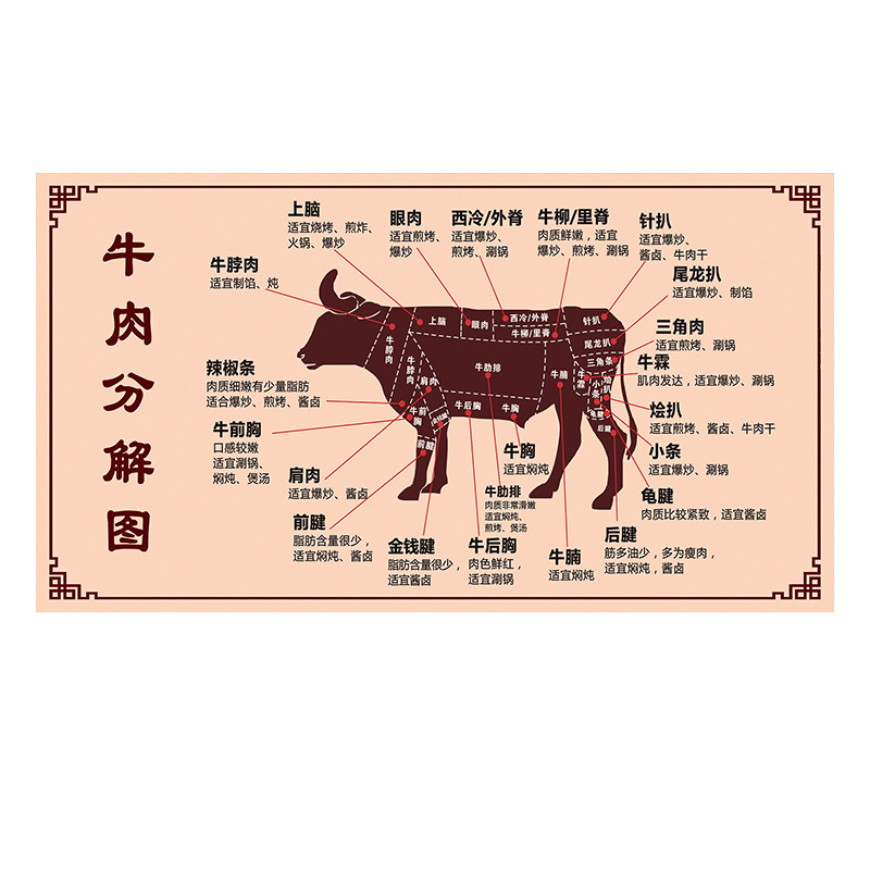 批发牛肉分解分割部位图介绍墙贴壁画贴图贴画复古美食海报广