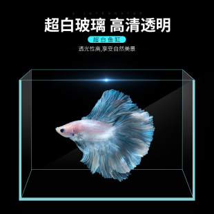 Golden Crystal Ultra-White Fish Tank Rectangular Living Room Office Desk Small Betta Goldfish Water Ecological Landscaping Turtle Tank