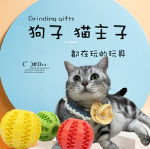 宠物玩具球宠物橡胶漏食洁齿磨牙球训导训练球猫咪狗狗玩具