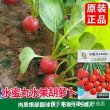 С����ˮ�����}���N�ӡ������͡�����ˮ���}���N�߲˷N���̨�ɷN