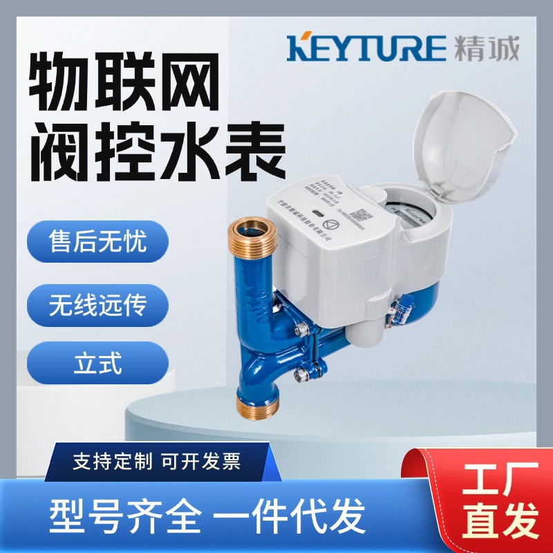 0106 NB-IOT/LORA物联网水表立式无线远传厂家直销
