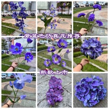 ���{ɫ��c���滨���l �{��ɫ���@�L��Y��ܛ�b����·���bٻ�