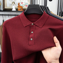 ƽӺ450˺ʿᘿpolo2025ﶬë·IT