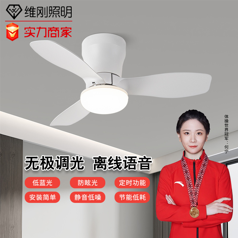 Ceiling Fan Light, Ceiling Fan Light, Bedroom Dining Room Fan Light, Modern Simple Silent Light Fan Integrated Offline Voice