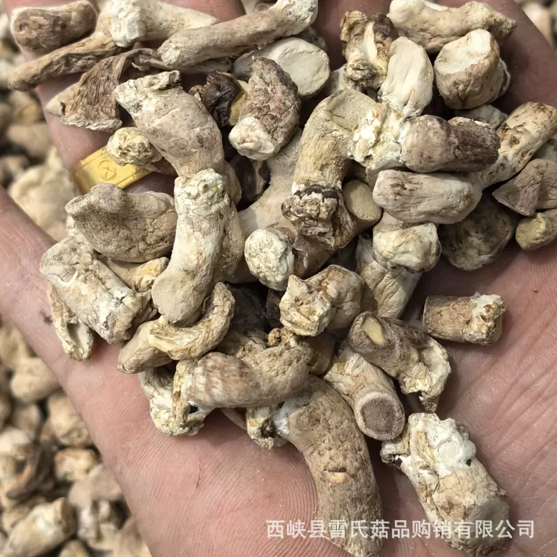 香菇脚干货单剪香菇腿西峡特产柄单双剪菇脚片丁丝菌香菌菇香蕈