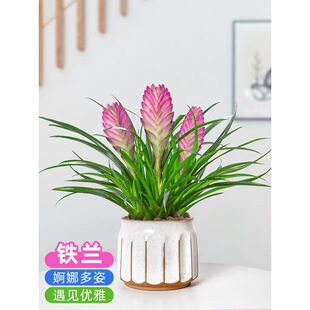 �F�m��������ɫ���܎������҃Ⱥ��B�_�������՚�����Gֲ�辰