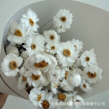 �羳�ɻ��_��˹������СϞ�� ���������B�M�ڻ��� �Ҿ��b���